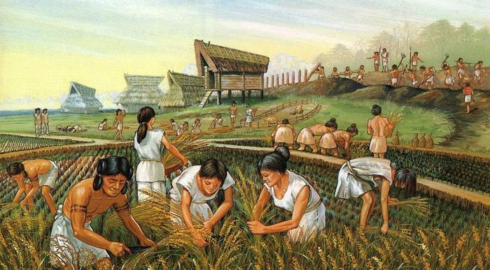 Аграрная революция