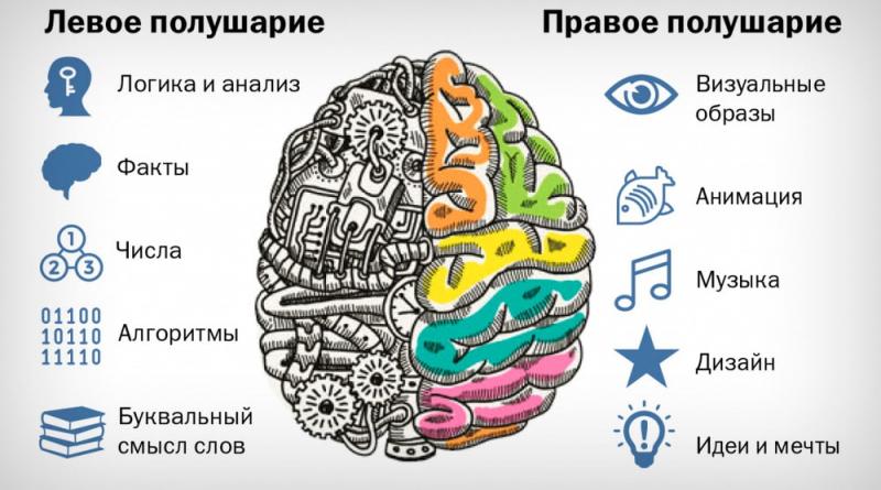 Тайны мозга