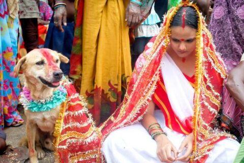 свадьба девушки и собаки в деревни Мунда Дханда