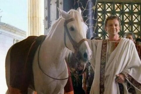 конь Калигулы