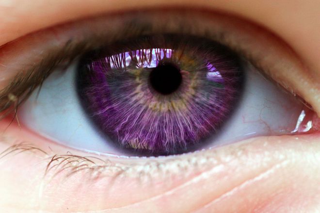 фиолетовый цвет глаз