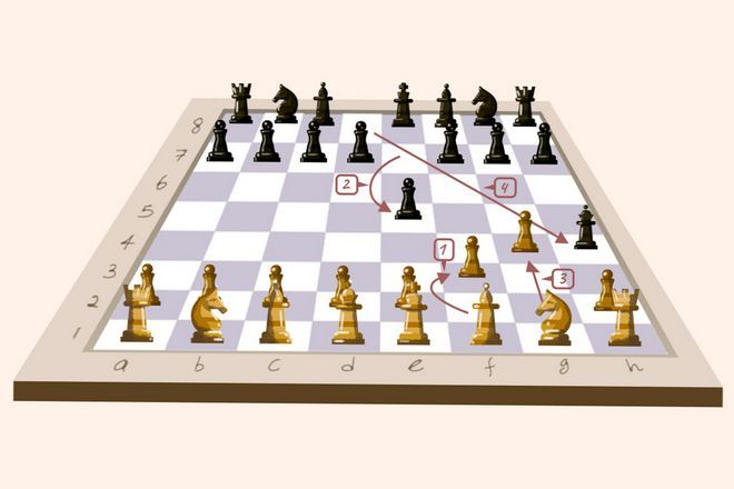 Четыре невероятных факта о шахматах