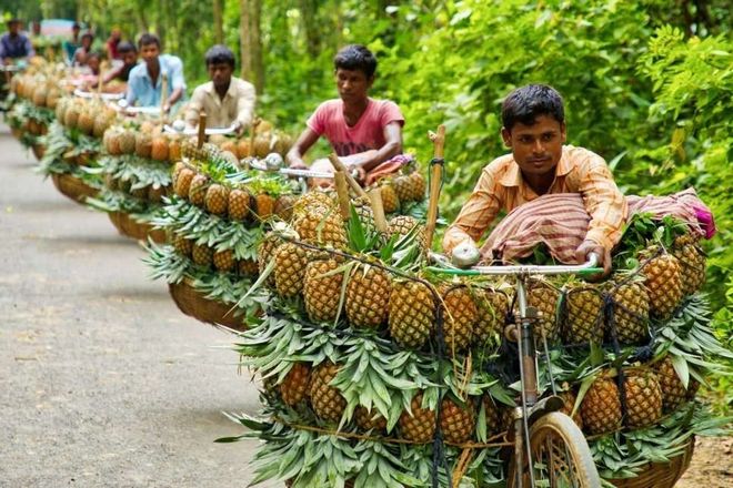 Большинство населения Бангладеш составляют фермеры