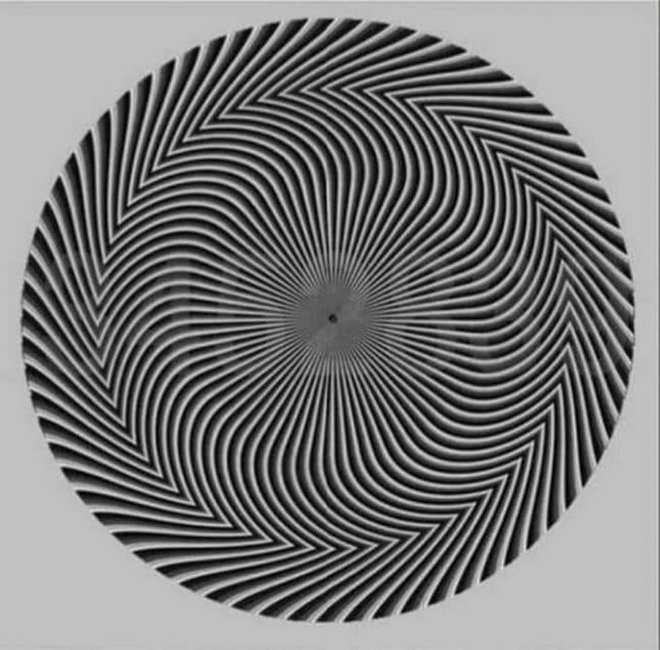 Эта оптическая иллюзия проверяет ваше зрение и измеряет контрастную чувствительность. Что позволяет людям различать объекты и их фон. Сколько чисел вы можете определить?