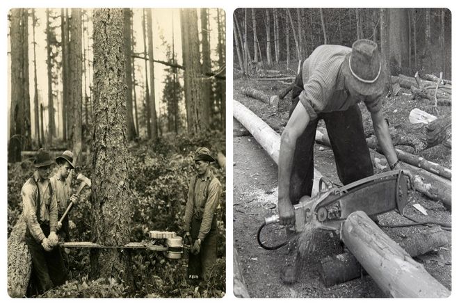 В 1905 году Сэм Дж. Бенс разработал бензопилу, которая работала непрерывно. Он назвал ее "бесконечной цепной пилой". И она приводилась в движение человеком. Это был первый случай, когда бензопила использовалась для рубки деревьев.