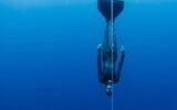 Насколько глубоко под воду может погрузиться человек?