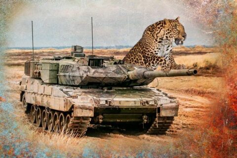 Почему у танков кошачьи имена?