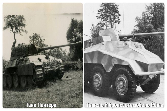 Вскоре другие бронированные машины также были названы в честь диких кошек. Таких как Пантеры, Львы и Пумы. В то же время лафеты противотанковых орудий, которые должны были подбивать вражеские танки, получили такие названия, как Jagdtiger и Jagdpanther.