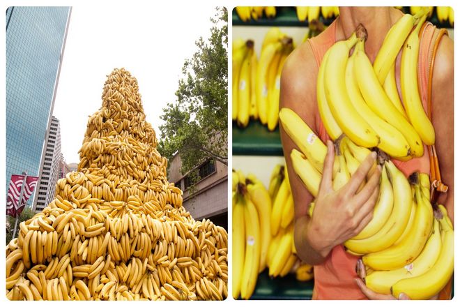 Чтобы получить один зиверт из бананов, вам нужно съесть их 10 миллионов. Средний вес банана составляет около 120 граммов, поэтому вы съедаете 1,2 миллиона килограммов бананов.
