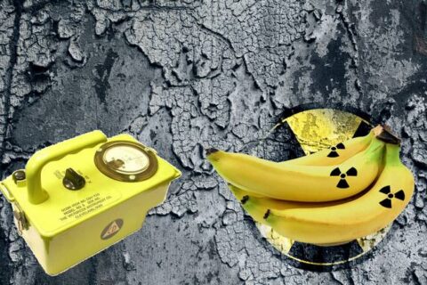 Насколько радиоактивны бананы?