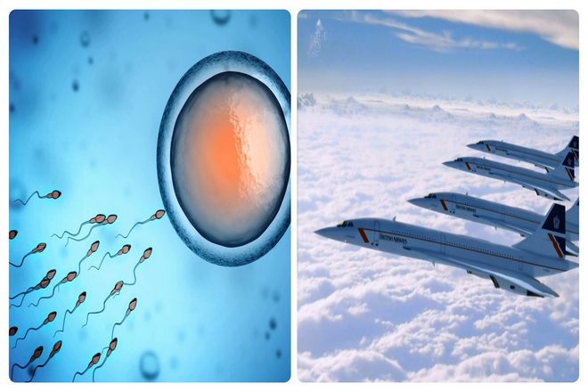Вопрос в том, как быстро сперматозоид достигает яйцеклетки? Или с какой скоростью сперма покидает член?