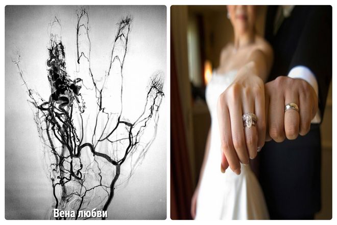 Римский писатель V века Макробий писал, что обручальное кольцо носили на безымянном пальце. Легенда гласит, что vena amoris, буквально "вена любви", проходила от сердца до безымянного пальца левой руки.