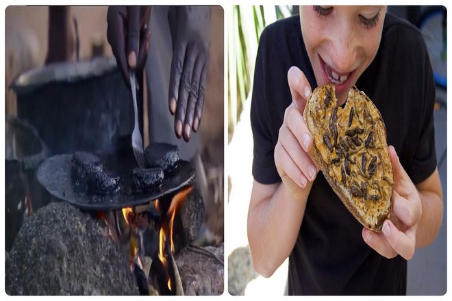 Может быть, африканцы любят есть "комариный пирог" потому, что он богат белком? На самом деле это не так. Африка никогда не снимала шапку "бедности". Особенно те люди, которые живут в отдаленных сельских племенах Африки.