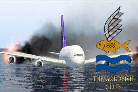 Плавают ли самолеты? "Клуб золотых рыбок".